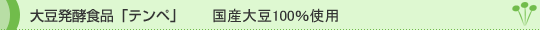 �哤���y�H�i�e���y ���Y�哤100���g�p